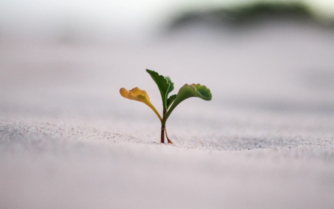 T/K TechStack: What Should Be in Your Growth Marketing TechStack?